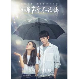 DT-91155 如果声音不记得