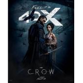 SJ-12073 乌鸦（2024版）