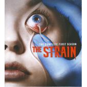 4GBD256544 血族（第一季）（三碟装）