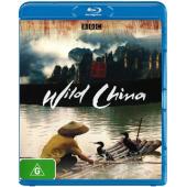 4GBD25D8468 美丽中国（双碟装）