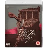 4GBD254009 木屐树