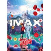 SJ-12788A 工作细胞 