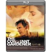 DT-80812 不朽的园丁 