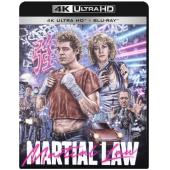 DT-91922 卧底飞龙(1991) 