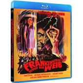 DT-91252X 科学怪人创造的女人(1967) 