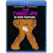 SJ-5934A 裸猿（2K灌录版） 