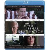 SJ-10698A 终点之城 