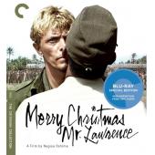 SJ-2338B 战场上的快乐圣诞（第二版）