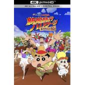 SJ-6307	蜡笔小新：新婚旅行飓风之遗失的野原广志 