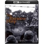 SJ-42205A 缅甸的竖琴（4K修复版）