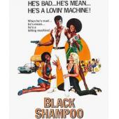 NF-01024 黑香波（2K修复版）