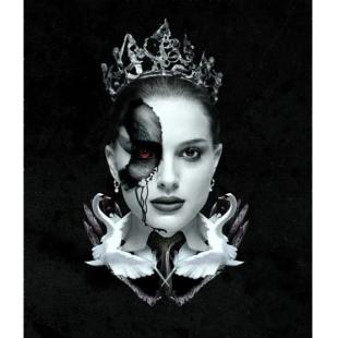 SJ-0407B 黑天鹅（新版）