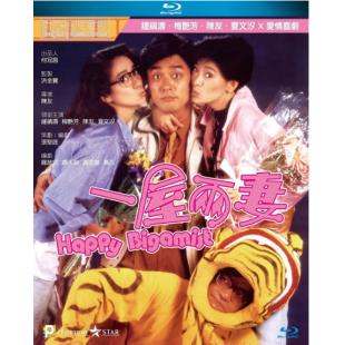 SJ-5163A 一屋两妻 