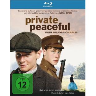 4GBD259789 柑橘与柠檬啊