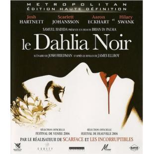 4GBD259365 黑色大丽花