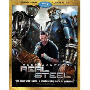 4GBD258778B 铁甲钢拳