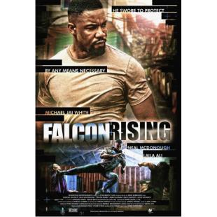 4GBD256534 猎鹰突起