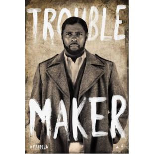 TM-1516	曼德拉:漫漫自由路