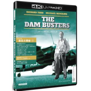 SJ-42449A 敌后大爆破（4K修复版） 