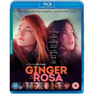 4GBD257145 金吉尔与罗莎