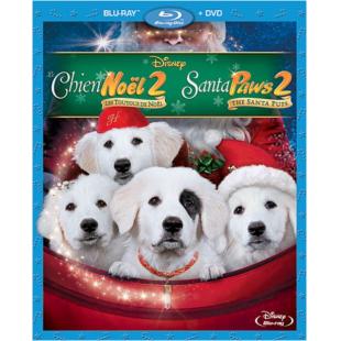 4GBD259765 圣诞狗狗2