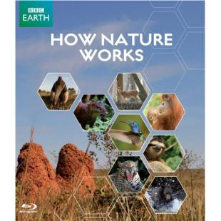 DT-81410【BBC】自然的运作 