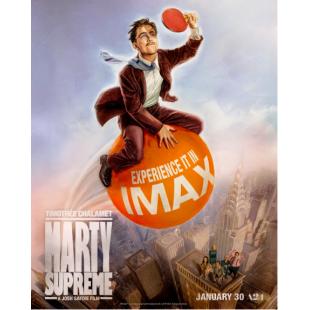 SJ-42461 至尊马蒂