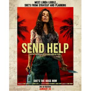 LG-D5936 请求救援(2026) 