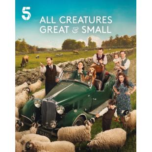 W0480 万物生灵（第1-6季）	