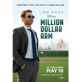 4GBD256418 百万金臂