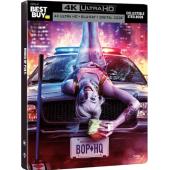 LJ-1656A 猛禽小队和哈莉·奎茵 