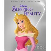 4GBD256391 睡美人(画中画)