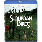 SJ-7936	郊区的鸟 