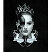 SJ-0407B 黑天鹅（新版）