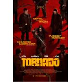 SJ-12732 龙卷风（2025）