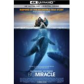 LBD-U0552 巨大奇迹   