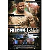 4GBD256534 猎鹰突起