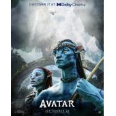 RBDK【阿凡达 Avatar】动作/科幻/冒险/50G