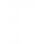 W0973 2026年春节联欢晚会+元宵晚会