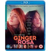 4GBD257145 金吉尔与罗莎