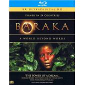 4GBD25D8443 天地玄黄