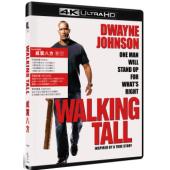 SJ-42460A 威震八方（4K修复版）