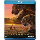 SJ-13099A 动物王国（2025）（2BD）