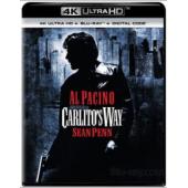 4GBD258155 情枭的黎明