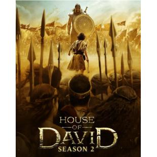 TM-R4666 大卫王朝 第二季(2碟)