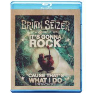 4GBD25M5840 布莱恩·希捷乐队2010蒙特利尔摇滚盛宴