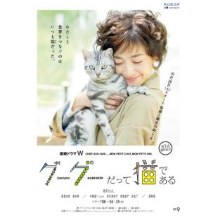 W5062 咕咕是一只猫【第1季+第2季+电影版】(2014)