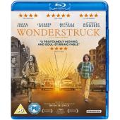 4GBD253610 寂静中的惊奇