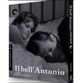 LJ-8117A 英俊的安东尼奥 