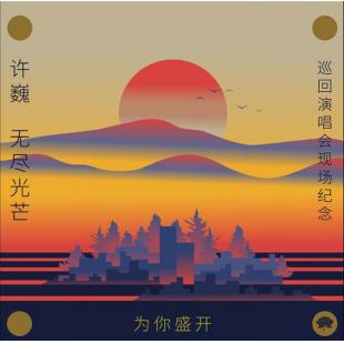 TM-R2413F 为你盛开许巍《无尽光芒》巡回演唱会现场纪念